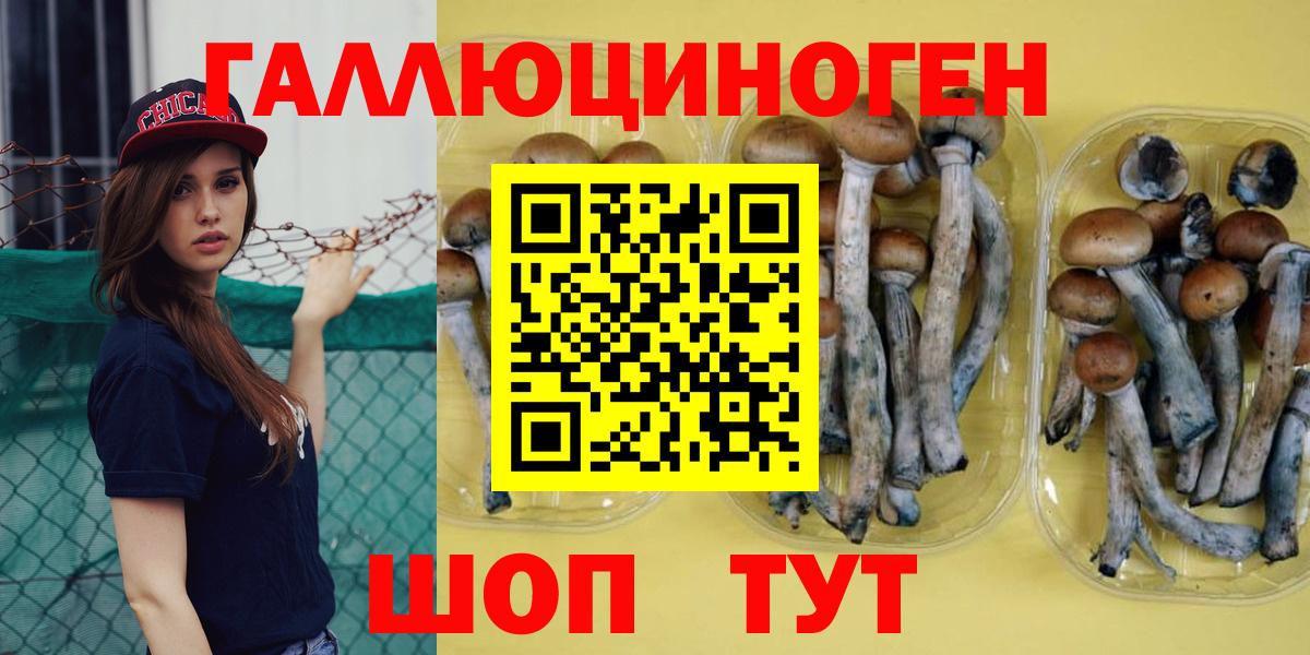 Ессентуки  Псилоцибиновые грибы GOLDEN TEACHER  Вход с VPN 