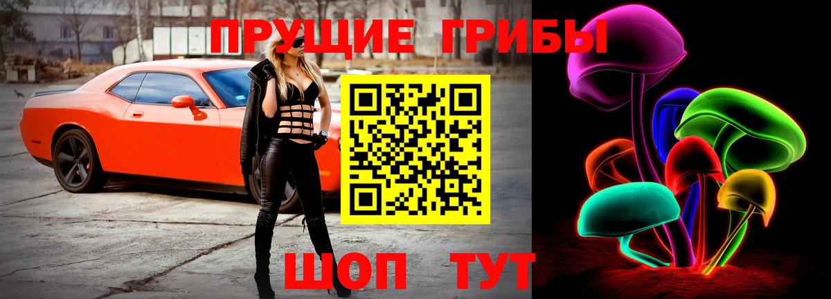 Галлюциногенные грибы прущие грибы Ессентуки