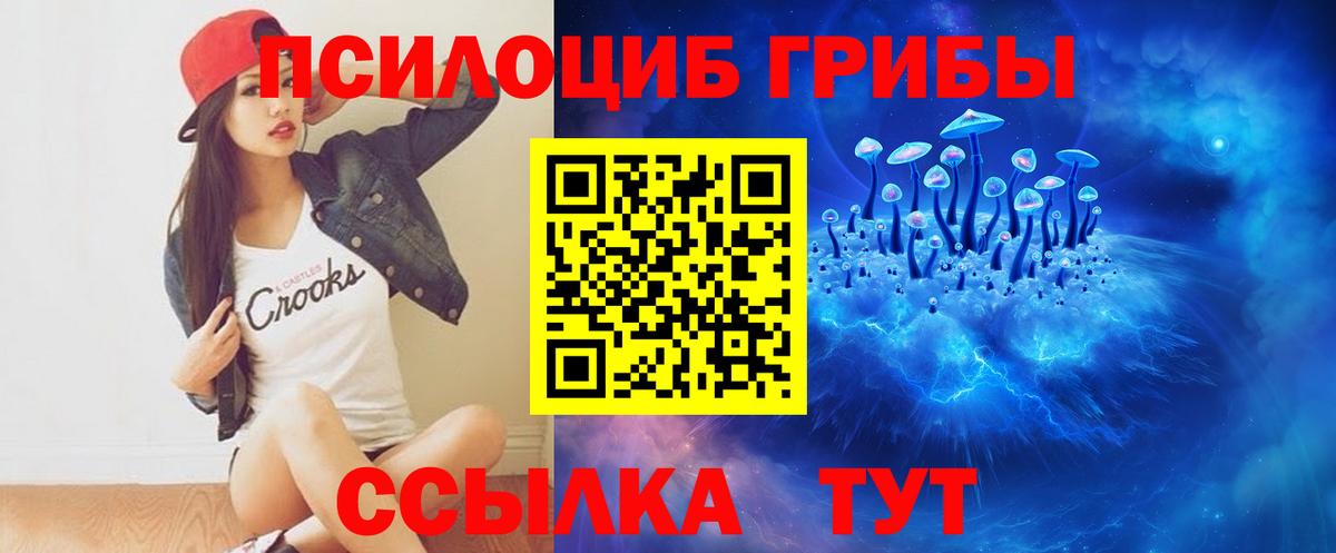 Галлюциногенные грибы Psilocybine cubensis  Ессентуки 