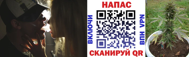 Шишки марихуана планчик  Ессентуки 